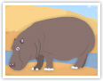 El hipopótamo
