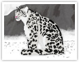 El leopardo de las nieves