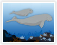 El dugongo