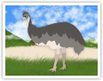 El emú