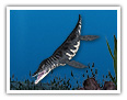 El liopleurodon