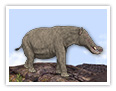 El platybelodon