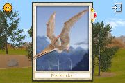Tarjeta del pteranodon